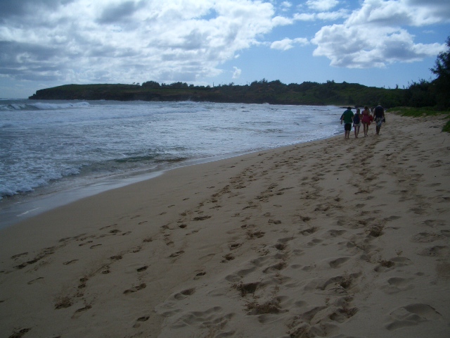 Not sure where to start...